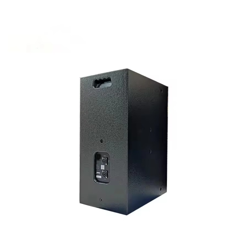 Altavoz Pasivo de 2 Vías de Ra - Full Range Speaker reseña y precio